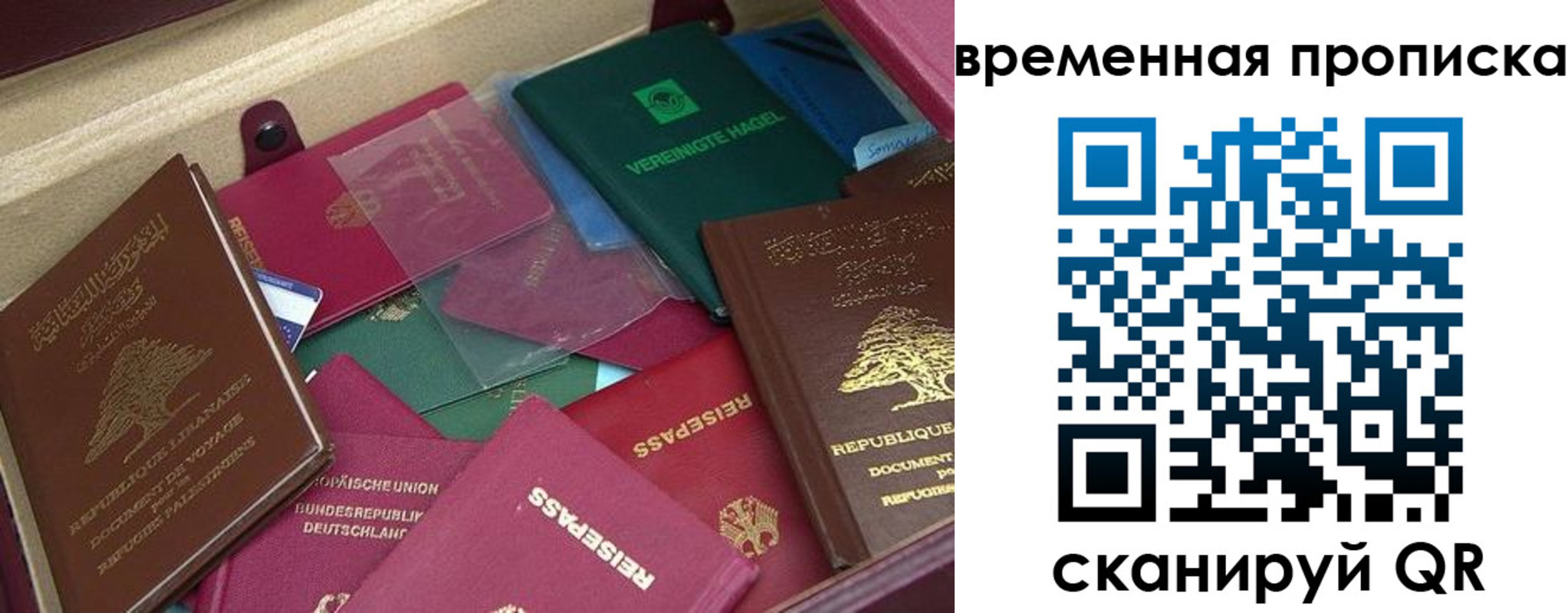 прописка в Полярных Зорях